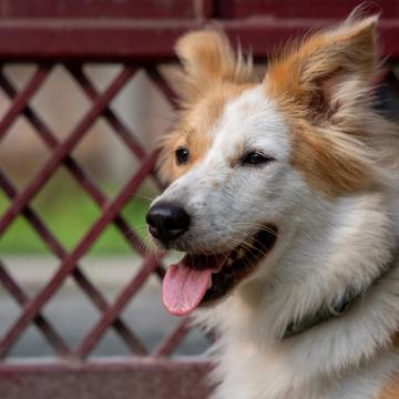 Pexels Pragyanbezbo 25713127